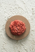 Terracotta Rose Medallion Artwork